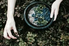 two hands reaching into a bowl filled with blueberries and sprouts on the ground