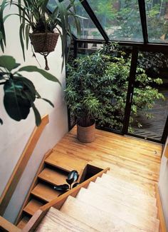 an indoor stair case with potted plants on the side and wooden steps leading up to it