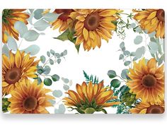 sunflowers and eucalyptus leaves on a white background with green leaves in the center