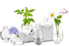 several vases with flowers and plants in them on a white surface, one is filled with water