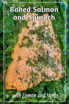 baked salmon and spinach with lemon and herbs