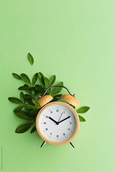 an alarm clock sitting on top of a green wall next to a plant with leaves