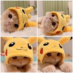 four pictures of a cat wearing a pikachu hat