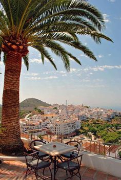 a table and chairs under a palm tree on a patio overlooking the city below it