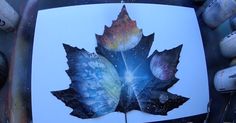 a leaf that is sitting on top of a table