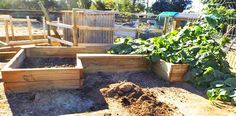 several wooden raised garden beds with plants growing in the middle and dirt on the ground