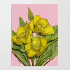 some yellow flowers are on a pink background