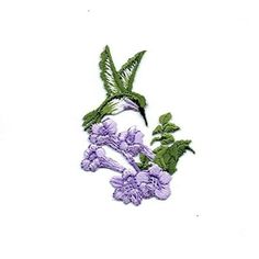 purple flowers with green leaves on white background