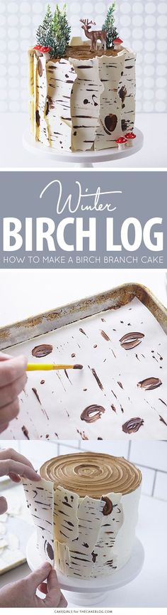 the birch log cake has been decorated with white and brown decorations, while someone is using a pencil to draw on it