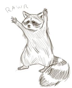 a drawing of a raccoon sitting on its hind legs with his arms in the air