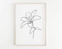 a black and white drawing of a flower on a wall next to a framed photograph