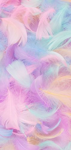 multicolored feathers are scattered on the ground for use in an art project or backdrop