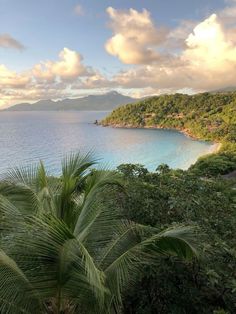 the ocean is surrounded by lush green trees