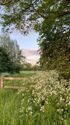 a wooden fence surrounded by tall grass and flowers