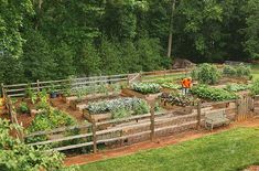 an outdoor vegetable garden with wooden fences and lots of vegetables growing in the area around it