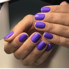 Gina Silvestro 💅🏻💎 on Instagram: “#luxio_icon ☂️🔮💜 📷@luxiogel_tyumen available USA at www.gelessentialz.com 💅🏻 #nailsoftheday #gelnails #gelpolish #nails #nailtech…” Short Nails Purple, Short Purple Nails, Unghie Sfumate, Purple Nail, Purple Nails