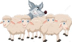 a wolf is sitting on top of a herd of sheep with eyes wide open and tongue out