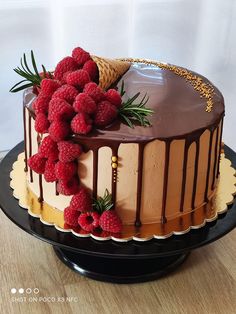 a chocolate cake with raspberries on top