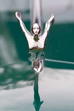 the hood ornament is reflecting in the water