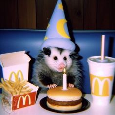 a ferret with a birthday hat on sitting in front of a hamburger and fries