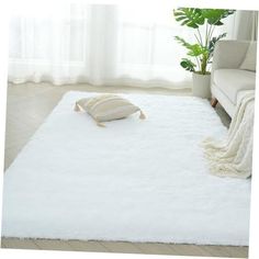 a large white rug in the middle of a living room with a couch and potted plant