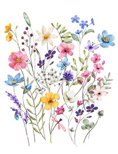 watercolor painting of colorful flowers on white background