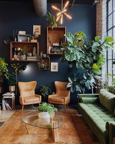 a living room filled with furniture and lots of plants