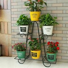 there are many potted plants on the stand in front of the brick wall,