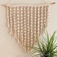 a macrame wall hanging next to a potted plant