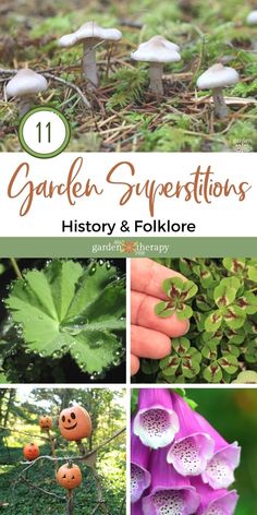 garden superstitions history and folklore cover image with text overlaying the images