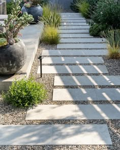 a stone path in the middle of a garden