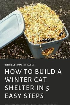 how to build a winter cat shelter in 5 easy steps with pictures and instructions on the front cover