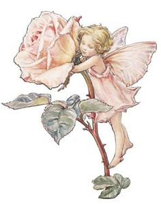 a drawing of a pink rose with a fairy sitting on it's back and wings