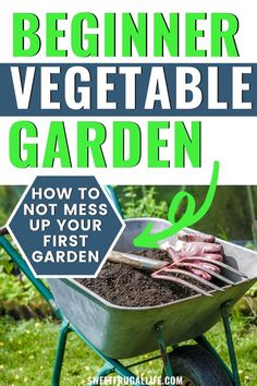 the beginer vegetable garden how to not mess up your first garden