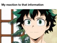 an anime character with green eyes and the caption reads, my reaction to that information