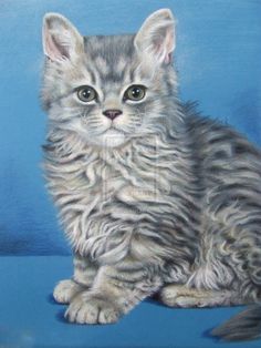 a painting of a grey kitten sitting on a blue surface with its eyes wide open