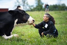 a man kneeling down next to a cow