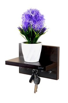 a potted plant sitting on top of a shelf with keys hanging from the hooks