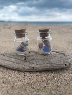 two glass jars filled with shells sitting on top of a wooden piece of driftwood