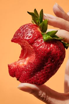 a hand holding a strawberry with its mouth open