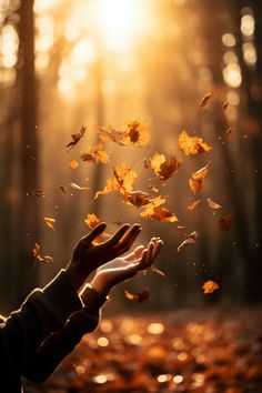 a person is throwing leaves in the air with their hands and fingers out to catch them