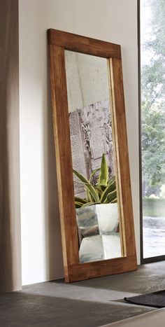 a large mirror sitting on top of a floor next to a plant in a vase