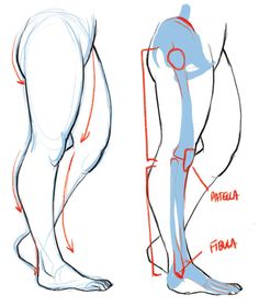 an image of a man's legs and leg muscles with the words, how to draw