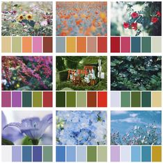 many different color schemes with flowers in them