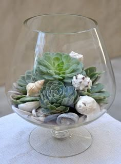 a glass vase filled with succulents and shells