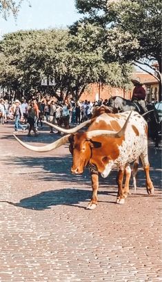 an animal with long horns standing on a brick road next to trees and people walking down the street