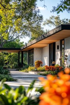 an image of a house that is in the middle of some plants and flowers around it