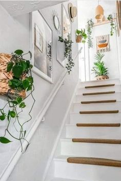 some plants and pictures on the wall next to stairs in a white room with wooden railings