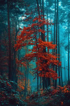 a red tree in the middle of a forest filled with lots of green and orange leaves