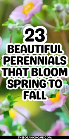 Guide to perennials that bloom spring to fall for an endless bloom perennial garden and flowers along fence line with perennials that bloom all summer. Kansas Perennials, Flowers Along Fence, Flowers For Vegetable Garden, Lisanthius Flowers, Perineal Flowers, Spring Flower Beds, Perennial Garden Ideas, Spring Flowers Garden